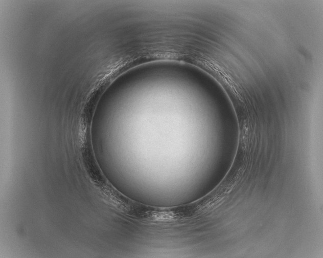 X0000116260355200912141312