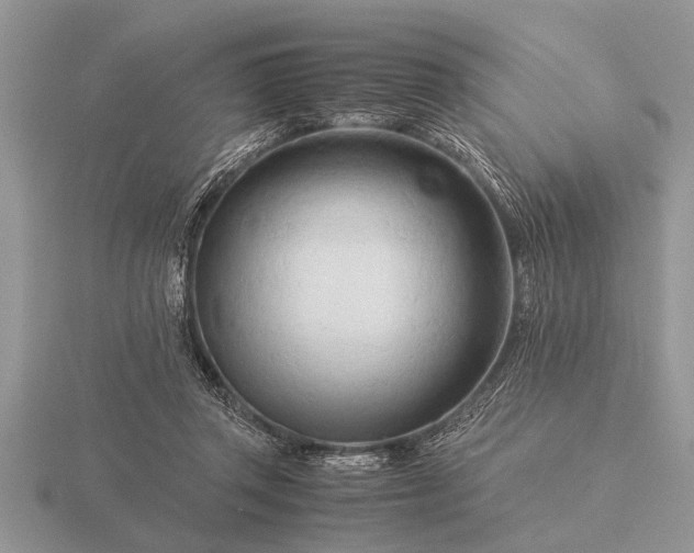 X0000116260357200912141312