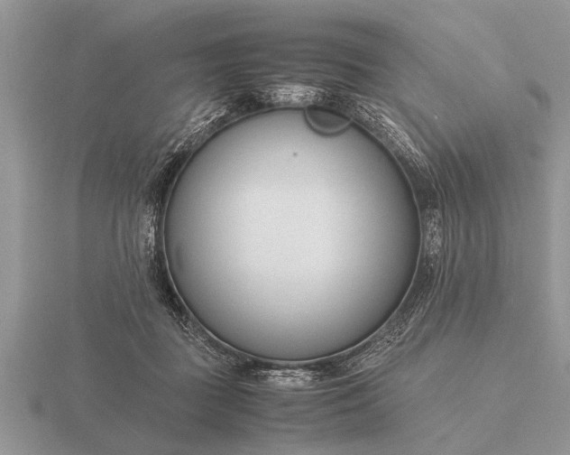 X0000116260363200912141312