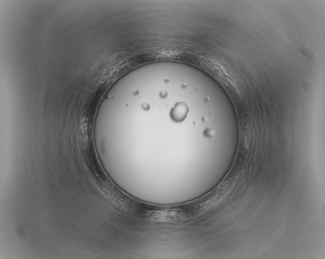X0000116260366200912141312