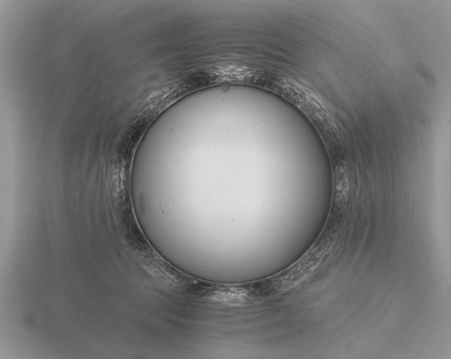 X0000116260369200912141312