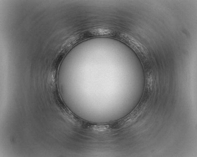 X0000116260373200912141312