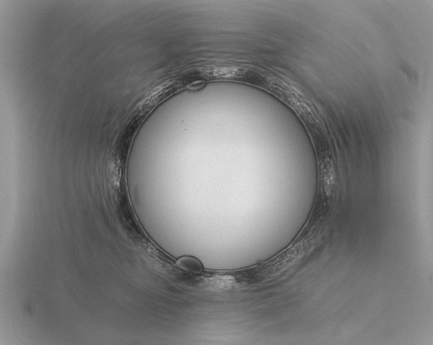 X0000116260374200912141312