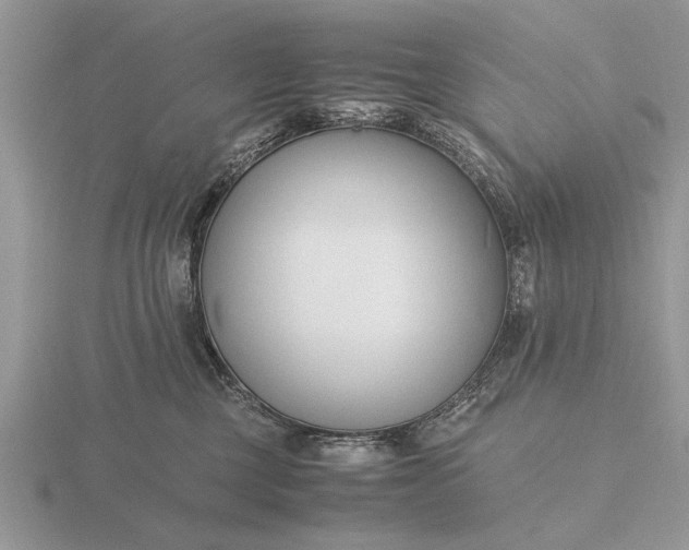 X0000116260377200912141312
