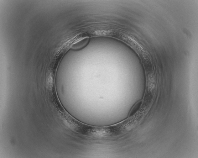 X0000116260405200912141312