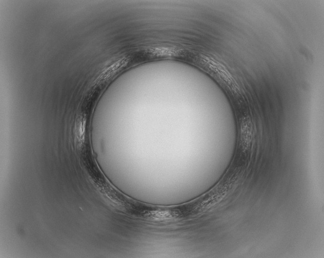 X0000116260406200912141312