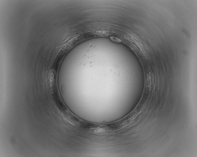 X0000116260412200912141311