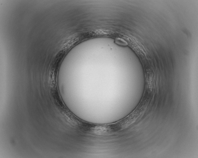 X0000116260418200912141311