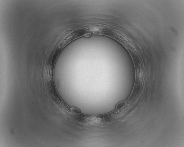X0000116260421200912141311