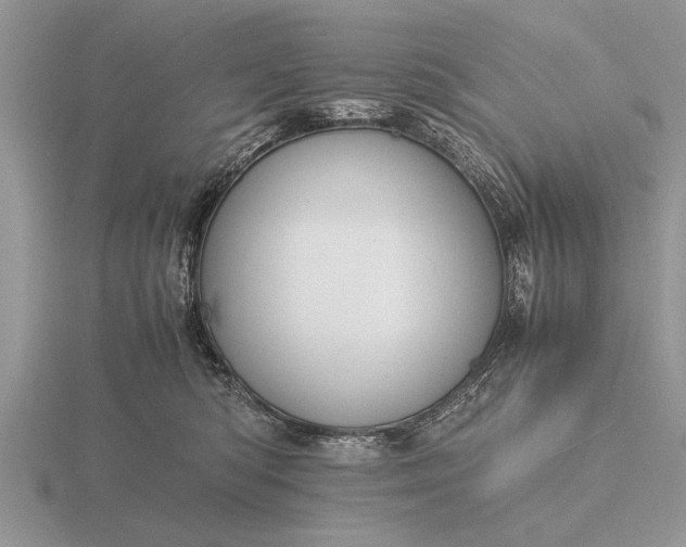 X0000116260422200912141311