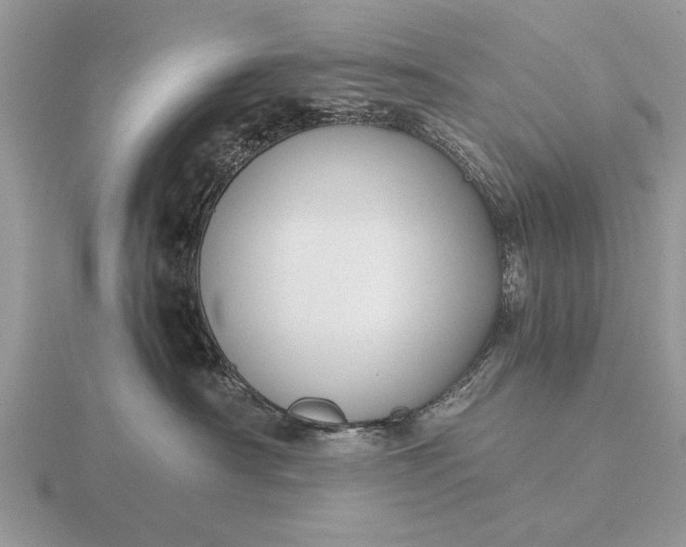 X0000116260430200912141311