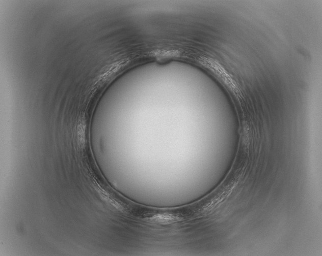 X0000116260441200912141311