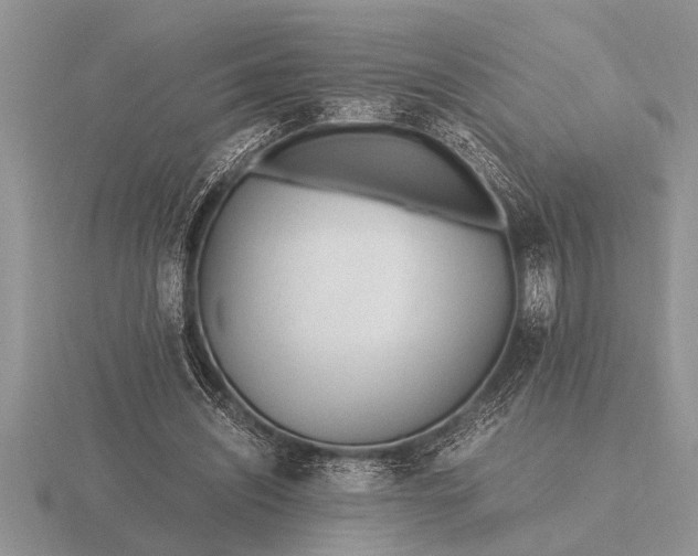 X0000116260444200912141311