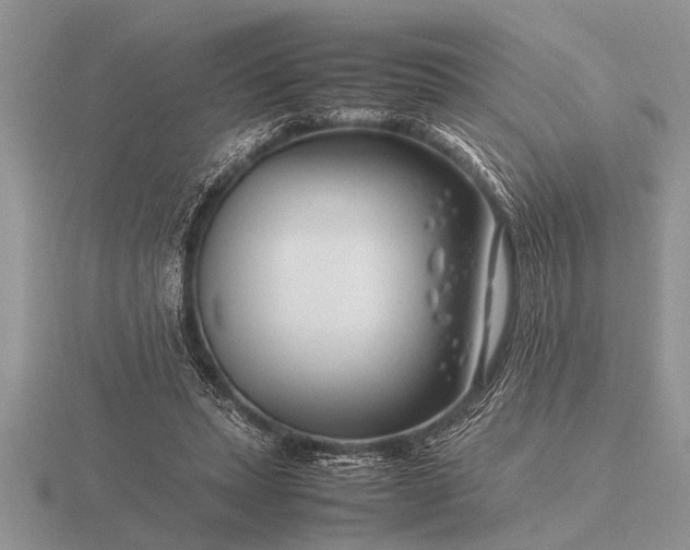 X0000116260447200912141311