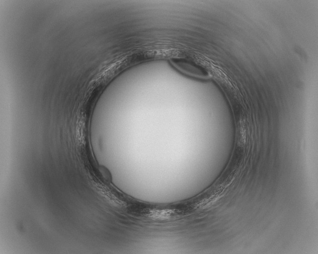 X0000116260450200912141311