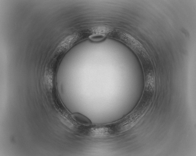 X0000116260452200912141311