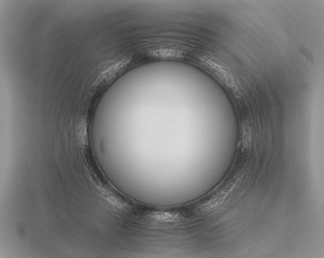 X0000116260453200912141311