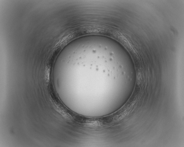 X0000116260454200912141311
