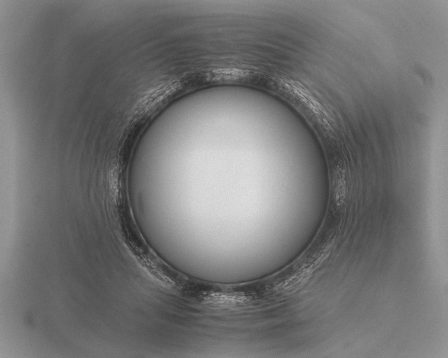 X0000116260455200912141311