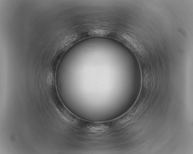 X0000116260459200912141311