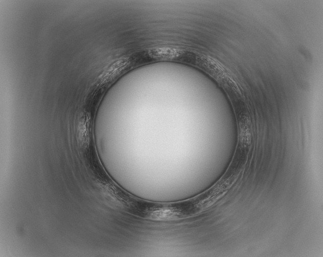 X0000116260460200912141311