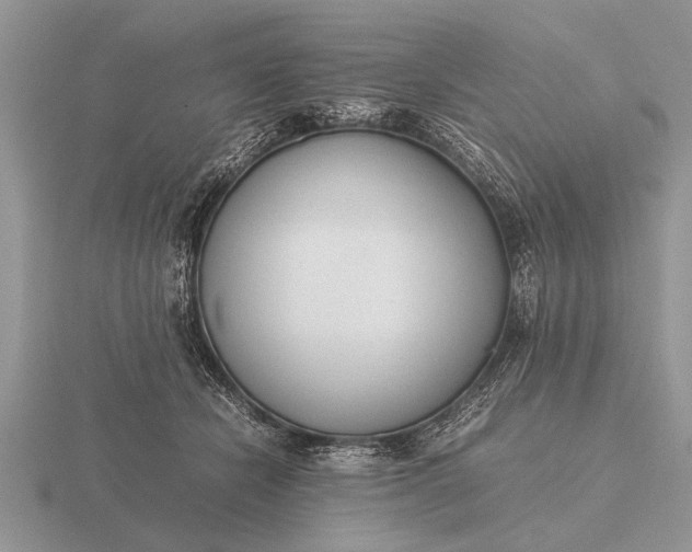 X0000116260462200912141311