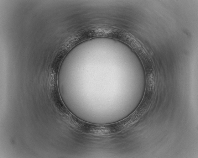 X0000116260463200912141311