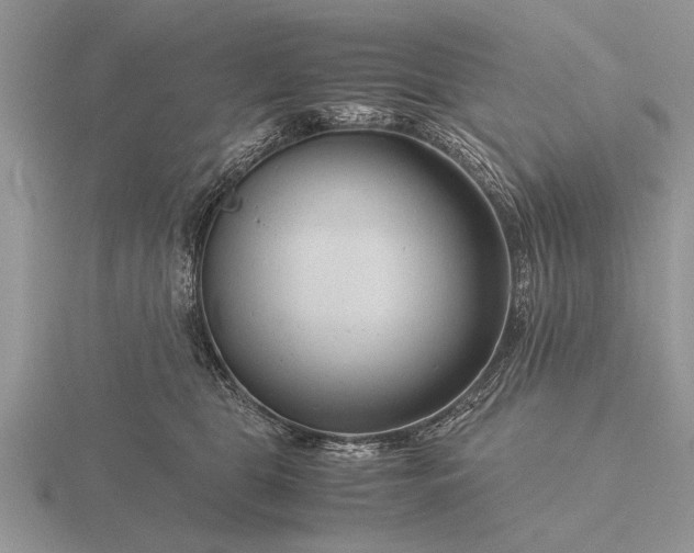 X0000116260469200912141311