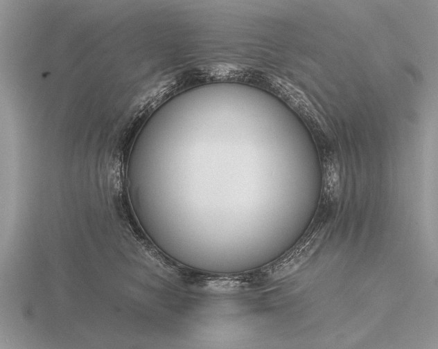 X0000116260470200912141311