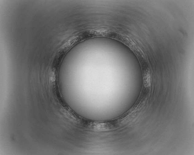 X0000116260472200912141311