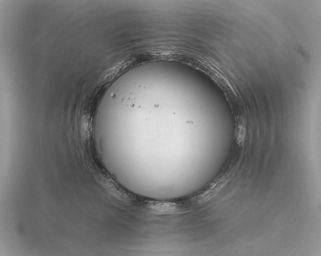 X0000116260476200912141311