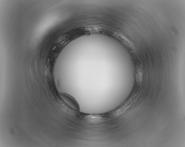 X0000116260477200912141311