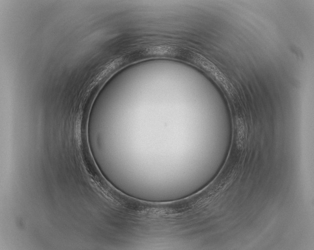 X0000116260482200912141311