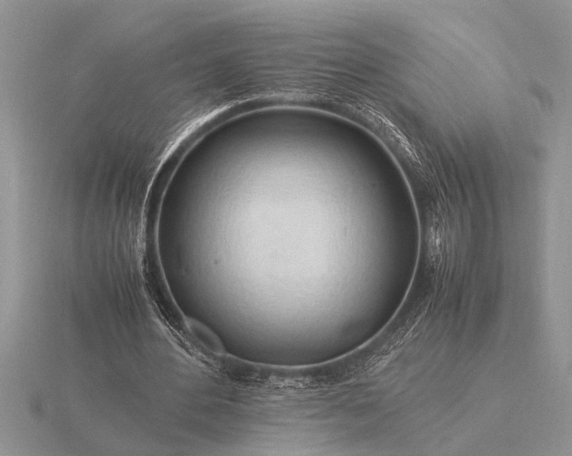 X0000116260484200912141311