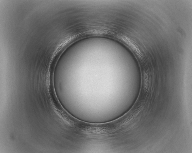 X0000116260486200912141311
