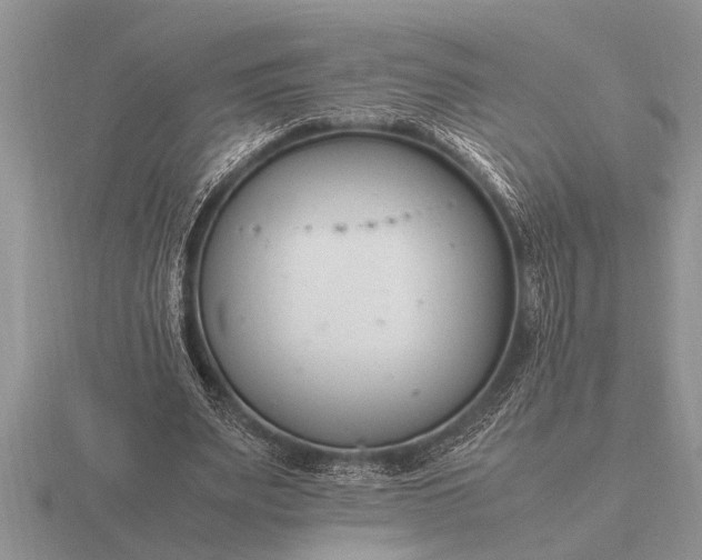 X0000116260487200912141311