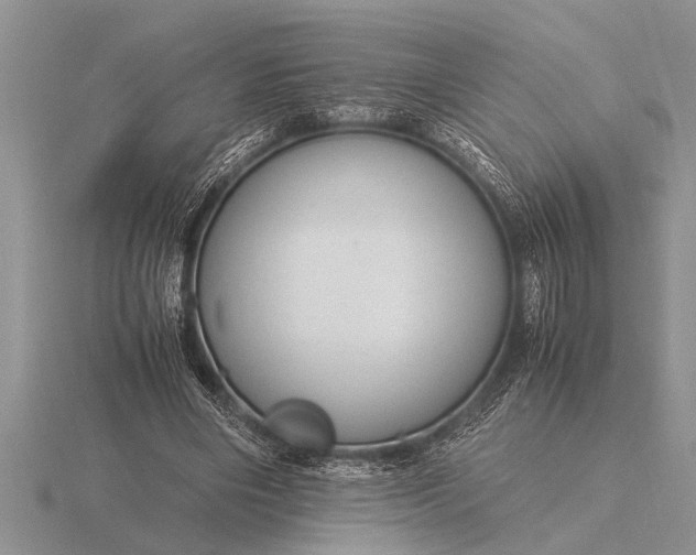 X0000116260490200912141310