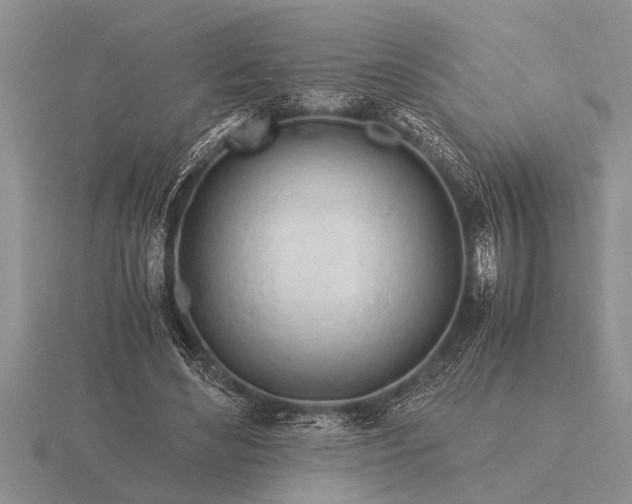 X0000116260492200912141310