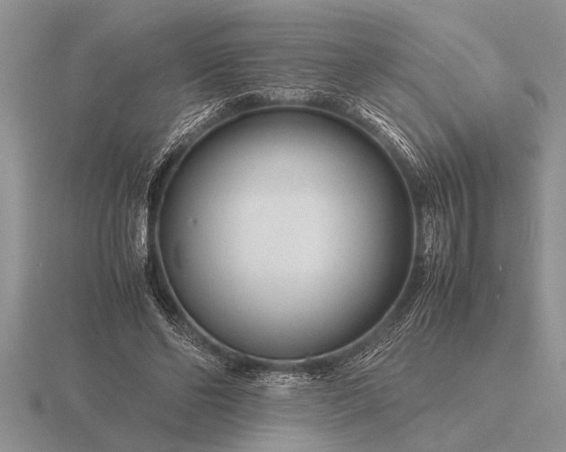 X0000116260494200912141310