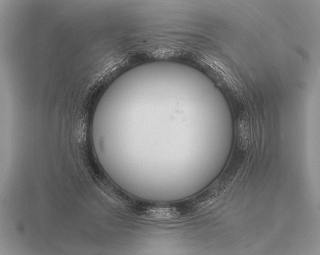 X0000116260499200912141310