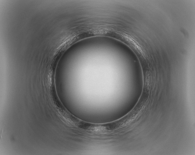 X0000116260501200912141310