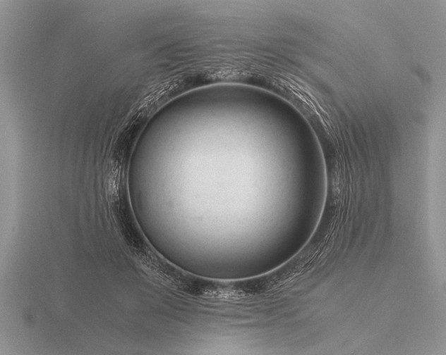 X0000116260503200912141310