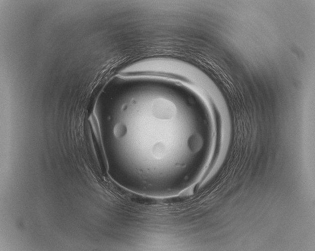 X0000116260504200912141310