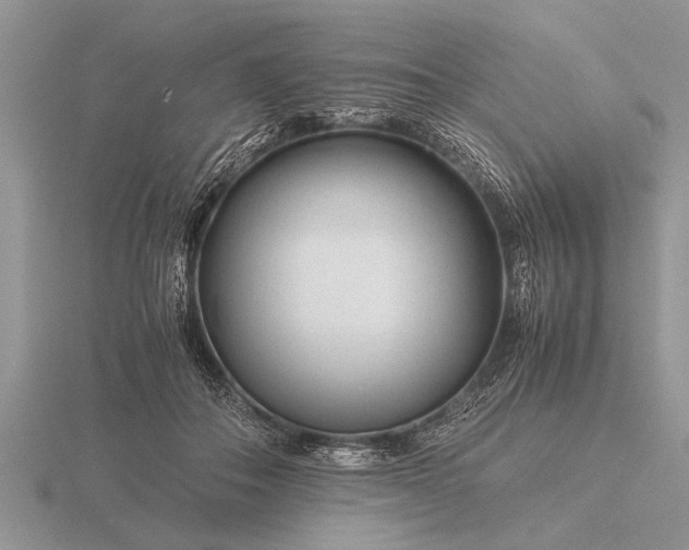 X0000116260506200912141310