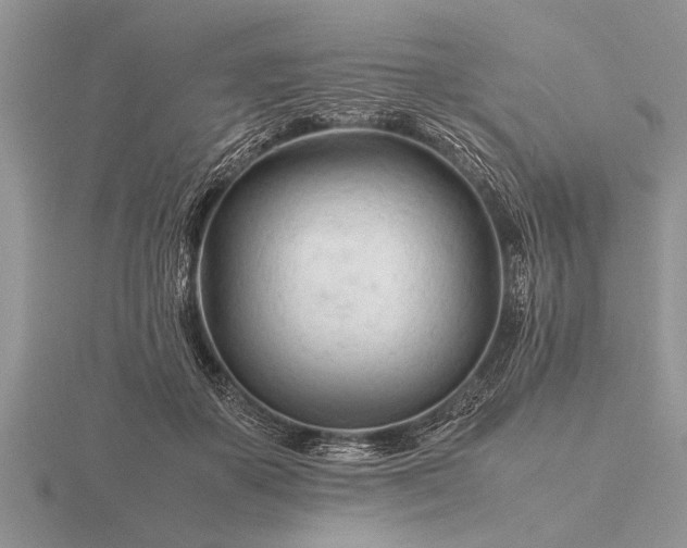 X0000116260507200912141310