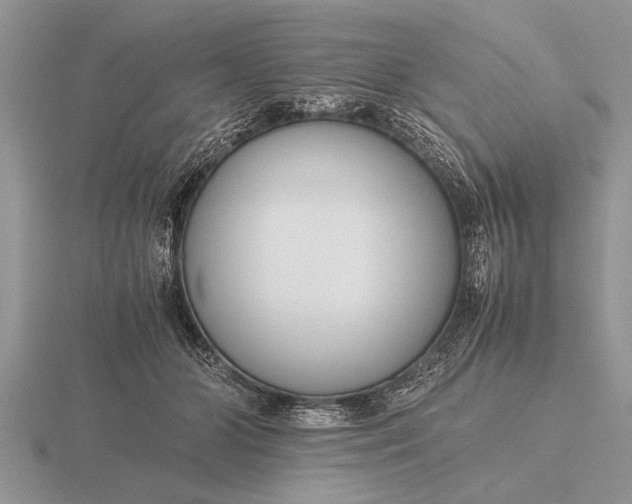 X0000116260510200912141310