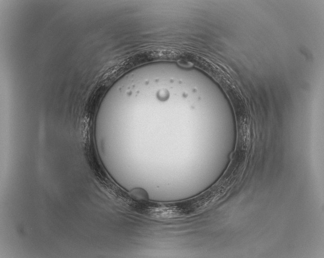 X0000116260511200912141310