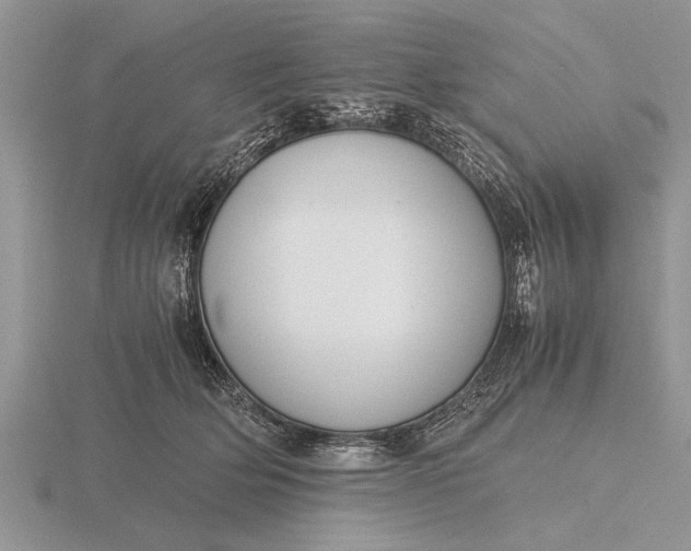 X0000116260514200912141310