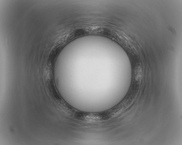 X0000116260515200912141310