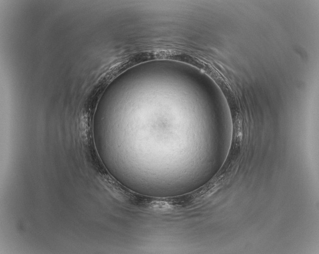 X0000116260519200912141310